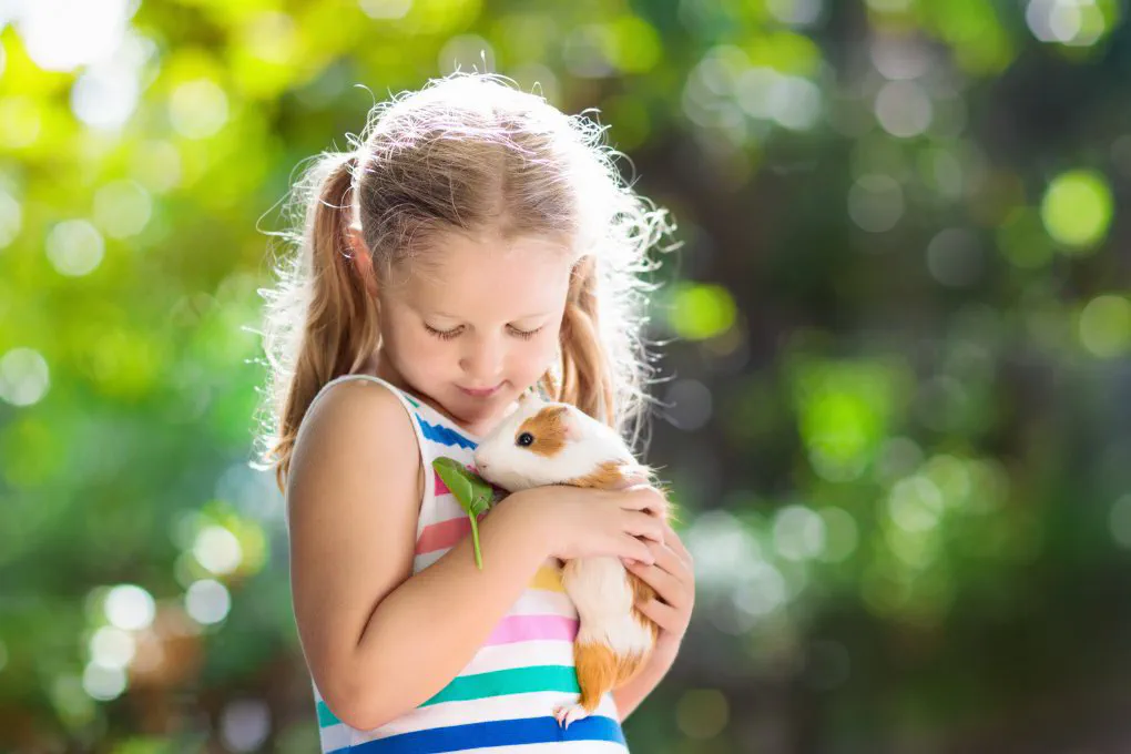 Fish, guinea pigs, cats, and reptiles can be good pets for young children.. These pets are easy to care for and provide endless joy for busy families.