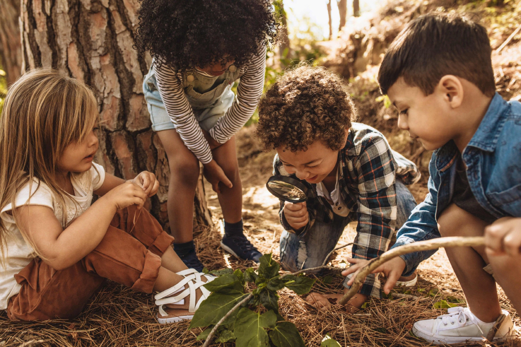 Check out these 5 fun and informative ways to help your children learn about the environment and how to take care of the planet.