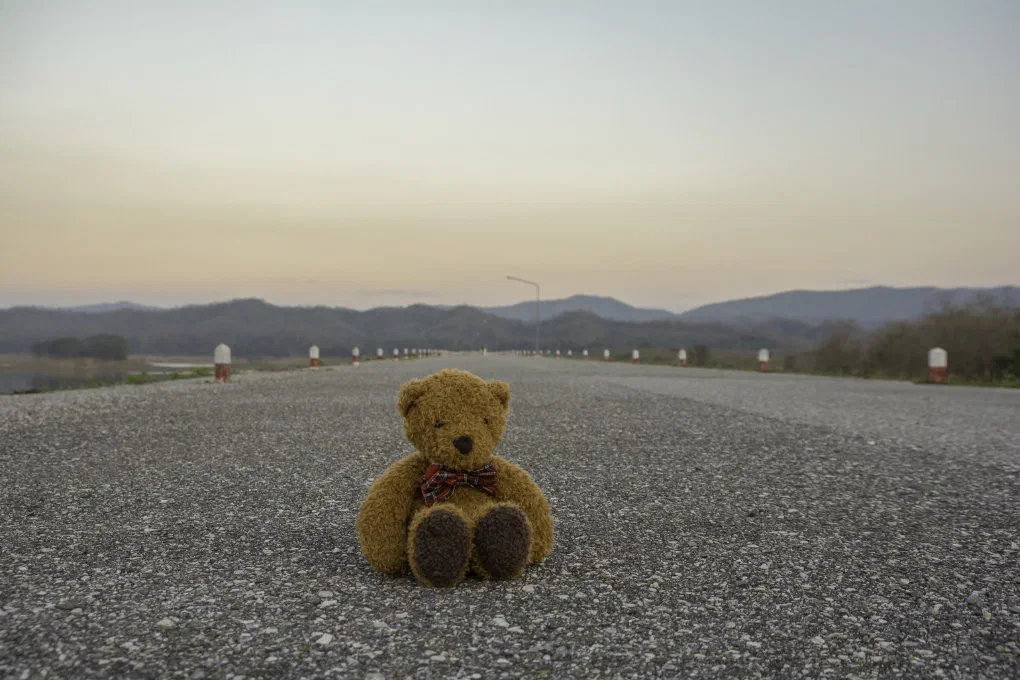 A teddy bear on a rural road, representing childcare access in rural areas