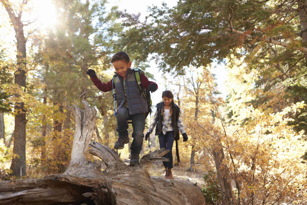 Discover the benefits of spending time in nature and how to encourage your child to explore the great outdoors.